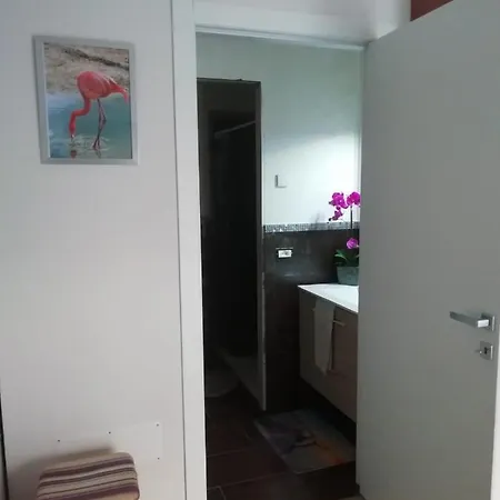 Sammy's House *